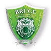 Bruce House Logo
